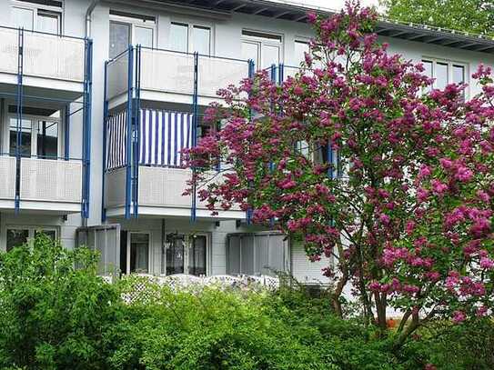 Gepflegte 2-Zimmer Wohnung mit großer (Wohn-) Küche und Terrasse in Dresden, Waldschlösschenareal