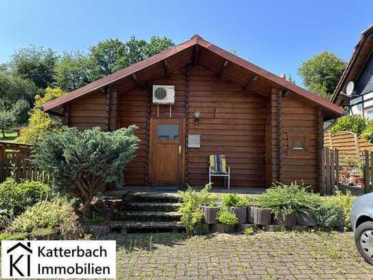 Modernisiertes Blockhaus in Willensen