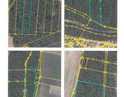 Waldgrundstücke im Paket oder separat in der Gemarkung Köttingwörth zu verkaufen