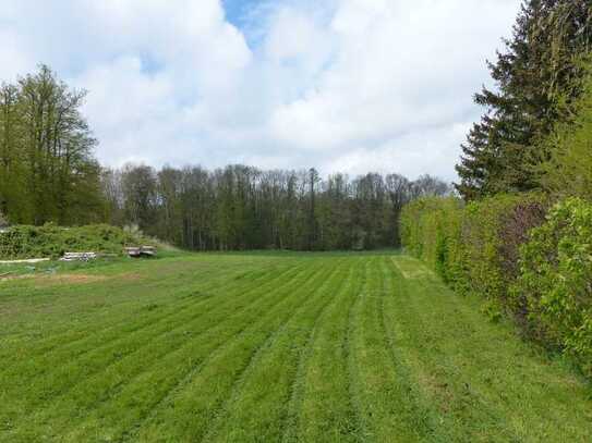 Großzügiges Baugrundstück in MV