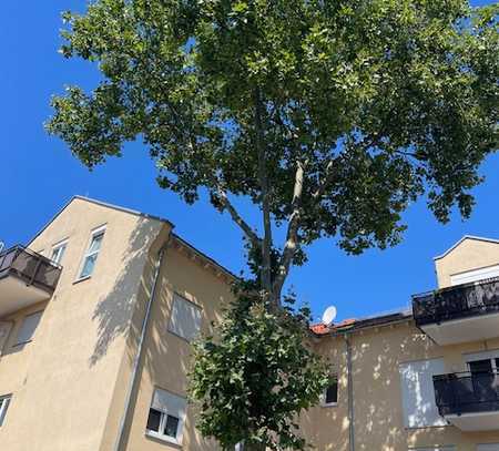 moderne 1-Zimmer-Wohnung in Aschaffenburg/Schweinheim zu vermieten