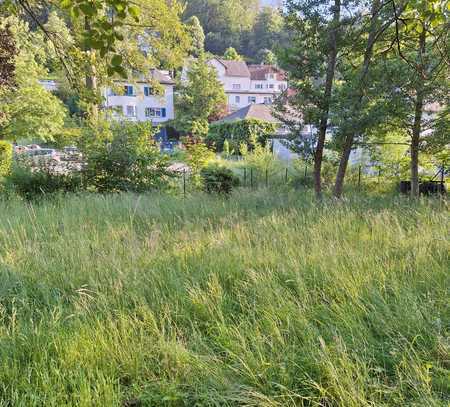 Attraktives Grundstück mit Baumbestand im Herzen von Schmitten im Taunus