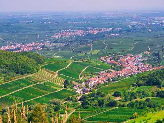 Zwei Baugrundstücke im schönen Ranschbach-Landau