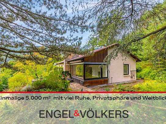 Einmalige 5.000 m² in Hambach mit viel Ruhe, Privatsphäre und Weitblick!