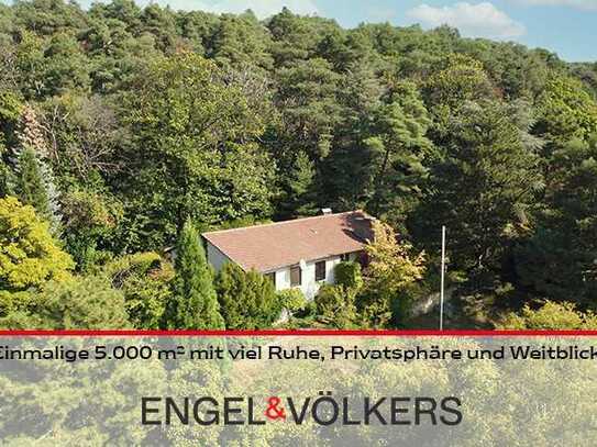 Einmalige 5.000 m² in Hambach mit viel Ruhe, Privatsphäre und Weitblick!