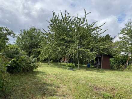 Bauplatz 720 m² - Top-Lage am Ortsrand von Büchenbronn