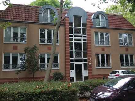 1.5 Raum Souterrain Appartment mit Terrasse und großer Fensterfront!