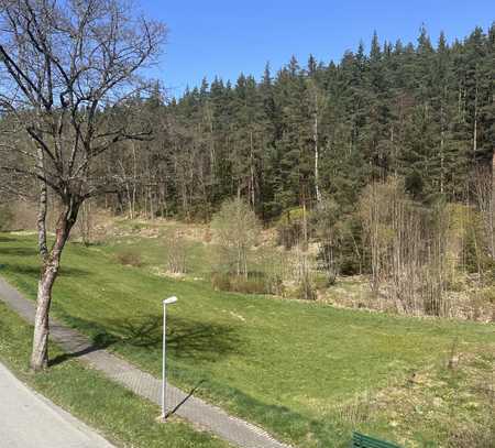 ruhige 2-Raum-Wohnung mit Balkon am Stadtrand von Bad Elster