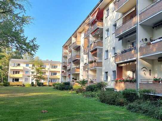 Sehr ruhige und modernisierte 2-Raum Wohnung mit Loggia, Grünblick und Pkw-Stellplatz, bezugsfrei