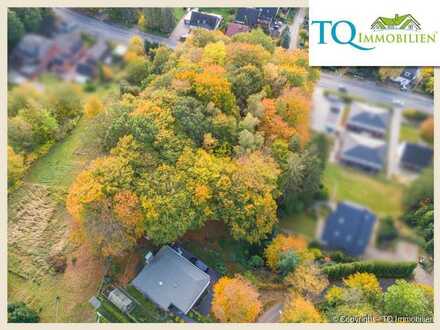 An alle Wald-Liebhaber! *** Ein 3.981 m² großes Grundstück in Börnsen, ist ab sofort zu erwerben ***