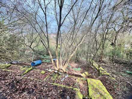 ** GARTENGRUNDSTÜCK MIT POTENTIAL: * ca. 992 qm * S-Untertürkheim * Hanglage **