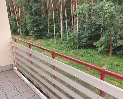 Traumhafte 3,5 Zimmer-Wohnung mit großem Balkon und Waldblick in Velten"