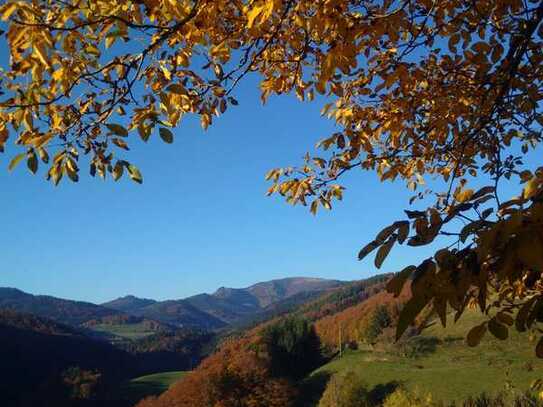 Seminarhaus mit traumhaften Belchenblick: 2-Familienhaus mit grossem Garten in Elbenschwand