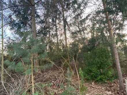 Baugrundstück für EFH in Karlshorst