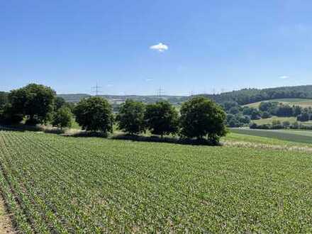 Einzigartige Liegenschaft in Baden Württemberg: Baugrundstück mit landwirtschaftlicher Fläche