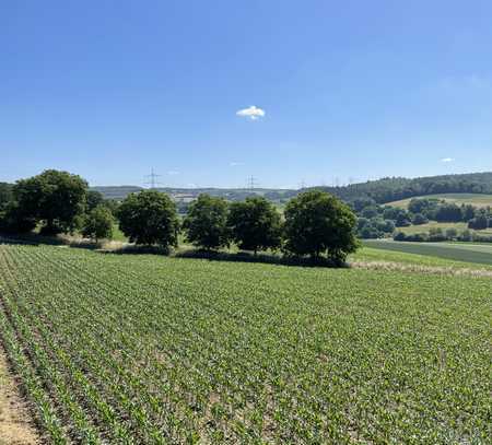 Einzigartige Liegenschaft in Baden Württemberg: Baugrundstück mit landwirtschaftlicher Fläche