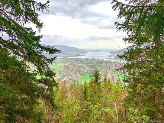 Einzigartige Gelegenheit - Privatwald am Wallberg mit Blick über Rottach Egern & den Tegernsee