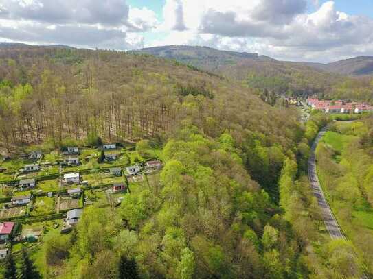 Vorbildlich aufgeforsteter 7,5 ha Laubwald