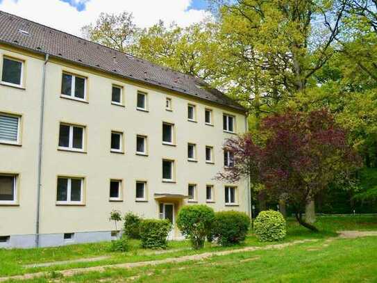 Wohnen im Grünen! 3-Zimmer-Wohnung im Erdgeschoss mit Balkon & Wannenbad