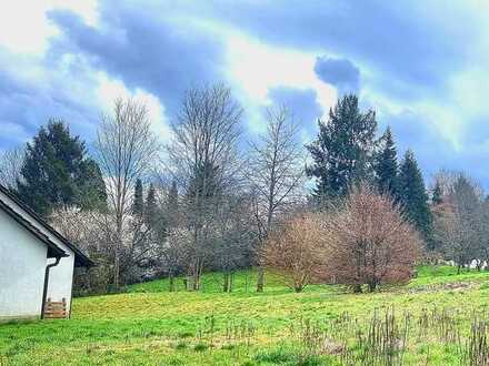 Großer naturnaher Bauplatz an Ortsrandlage in Baden-Baden Lichtental-Oberbeuern