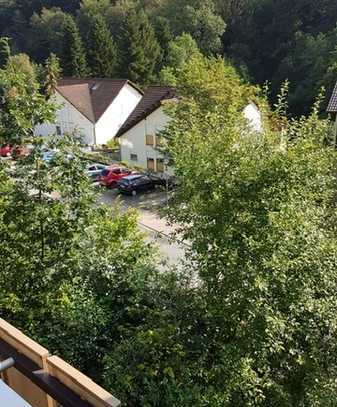 *** 2 Zimmer Dachwohnung mit herrlichem Blick ***