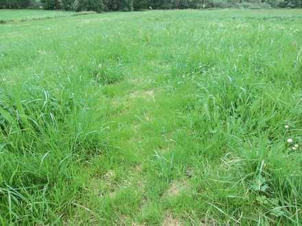 Gegen Gebot: Zusammenliegendes Grünland mit einer Größe 37.202 m² ohne Pachtvertrag abzugeben