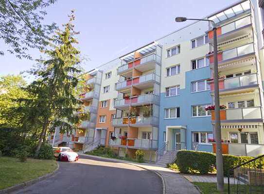 In der Herrichtung! 3 Raumwohnung mit Balkon!