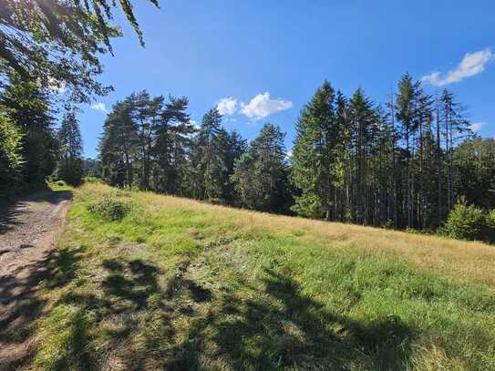 Ihr Feriengrundstück! Teilbar in drei Flurstücke für drei Ferienhäuser in Traumlage am Waldrand...