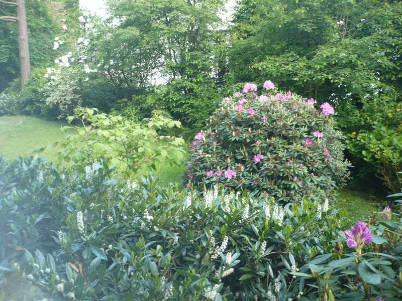 Großzügige+gepflegte Erdgeschoßwohnung in Villenlage