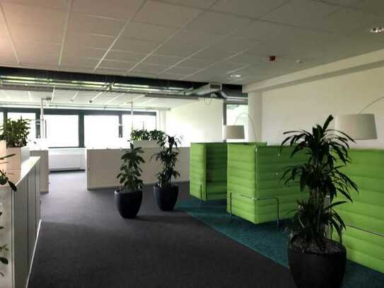 Zentrale Büroflächen in Dortmund | CAT-7 Verkabelung | RUHR REAL
