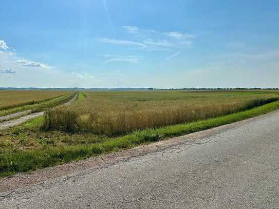 Chance auf Ackerland bei Aufhausen