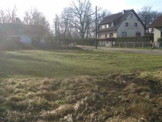 Großes Baugrundstück für Naturliebhaber