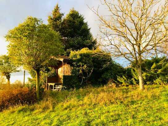 Freizeitgrundstück mit Gartenhaus und Blick ins Wolfachtal