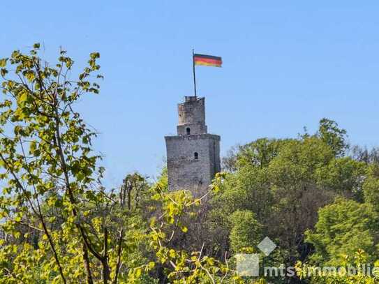 MTS-Immobilien/Bestlage FALKENSTEIN - Modernes Einfamilienhaus mit Topausstattung