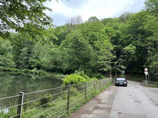 Waldgrundstück in Cronenberg am Käshammer