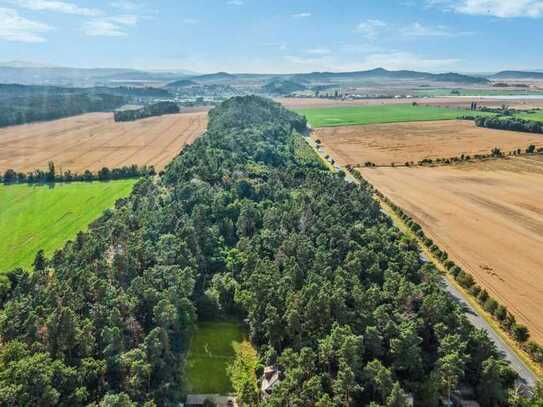 Waldgrundstück in Quedlinburg mit Gartenbungalow