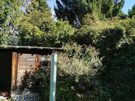 Gepflegte Wohnung/Haus mit vier Zimmern, Balkon und Garten