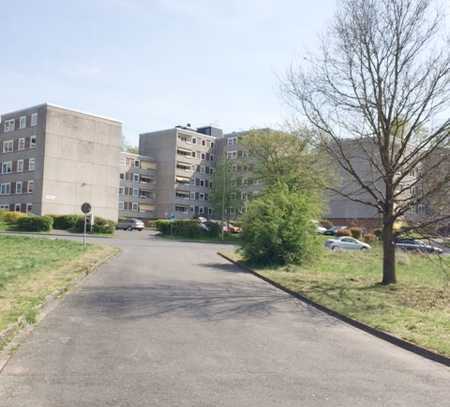 3 Zimmer-Wohnung im ersten Stock