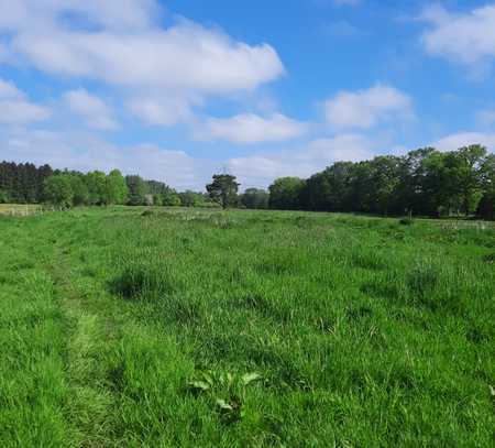 Großer, ruhiger Bauplatz, ca. 1.000 m², mit Bestands- und Nebengebäuden und bis zu 9 ha Landfläche