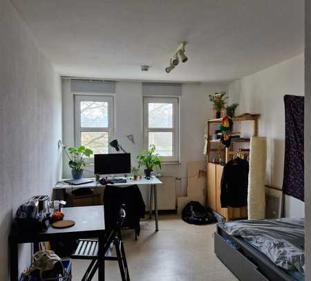 1-Zimmer-Wohnung mit Einbauküche in Trier