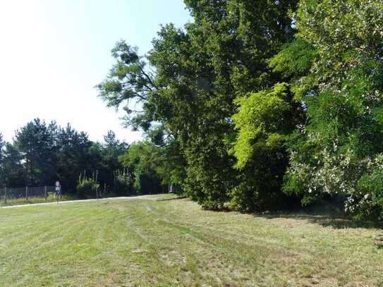 grosszügiges Stadtgrundstück am Waldrand für EFH/ZFH