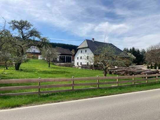 Traumhaftes, saniertes Einfamilienhaus in Bonndorf im Schwarzwald