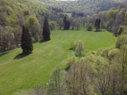 Natura 2000 Grünfläche im Selketal