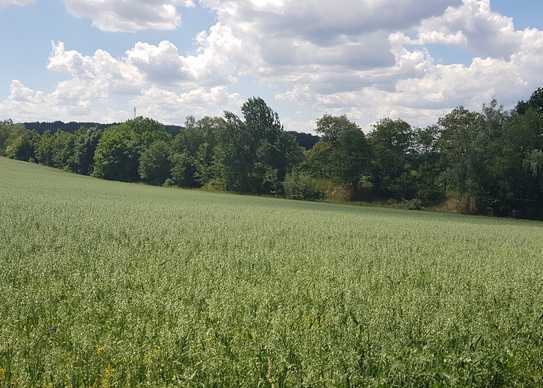 Schöne Baugrundstücke in super Lage von Theuma - frei wählbar !