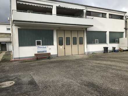 384 m² Halle in Leimen - St.Ilgen für Ihre Produktion, Gewerbe oder als Lager