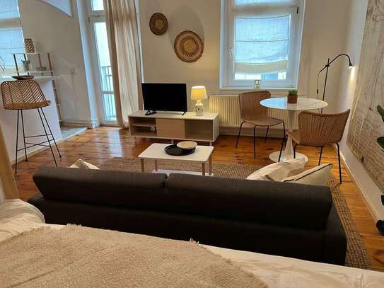 1-Zi. Apartment (45 qm) Berlin-Nähe Hbf, Tiergarten