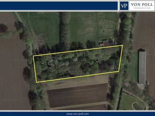 Naturparadies nahe der Stadt: ca. 7000m² für Hobbygärtner