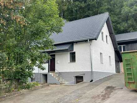 Einfamilienhaus Dach neu gemacht, Fassade gestrichen