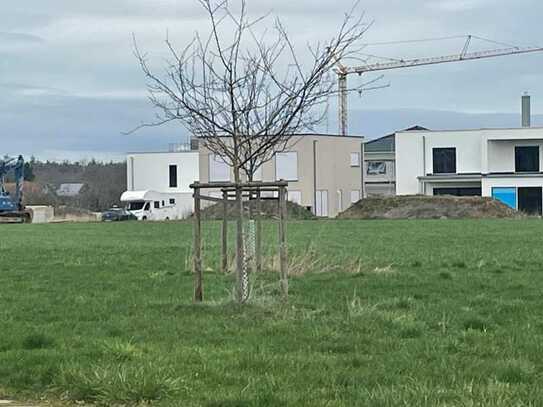 Randlage - Garten nach Süd-West ausgerichtet. Perfekt!