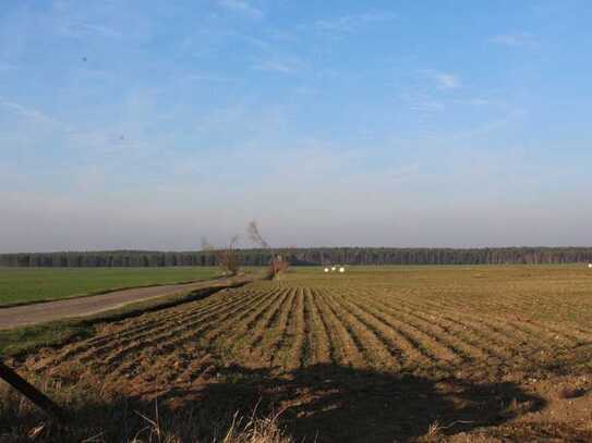 5 attraktive Ackerlandflächen bei Aken und Reppichau im Osternienburger Land